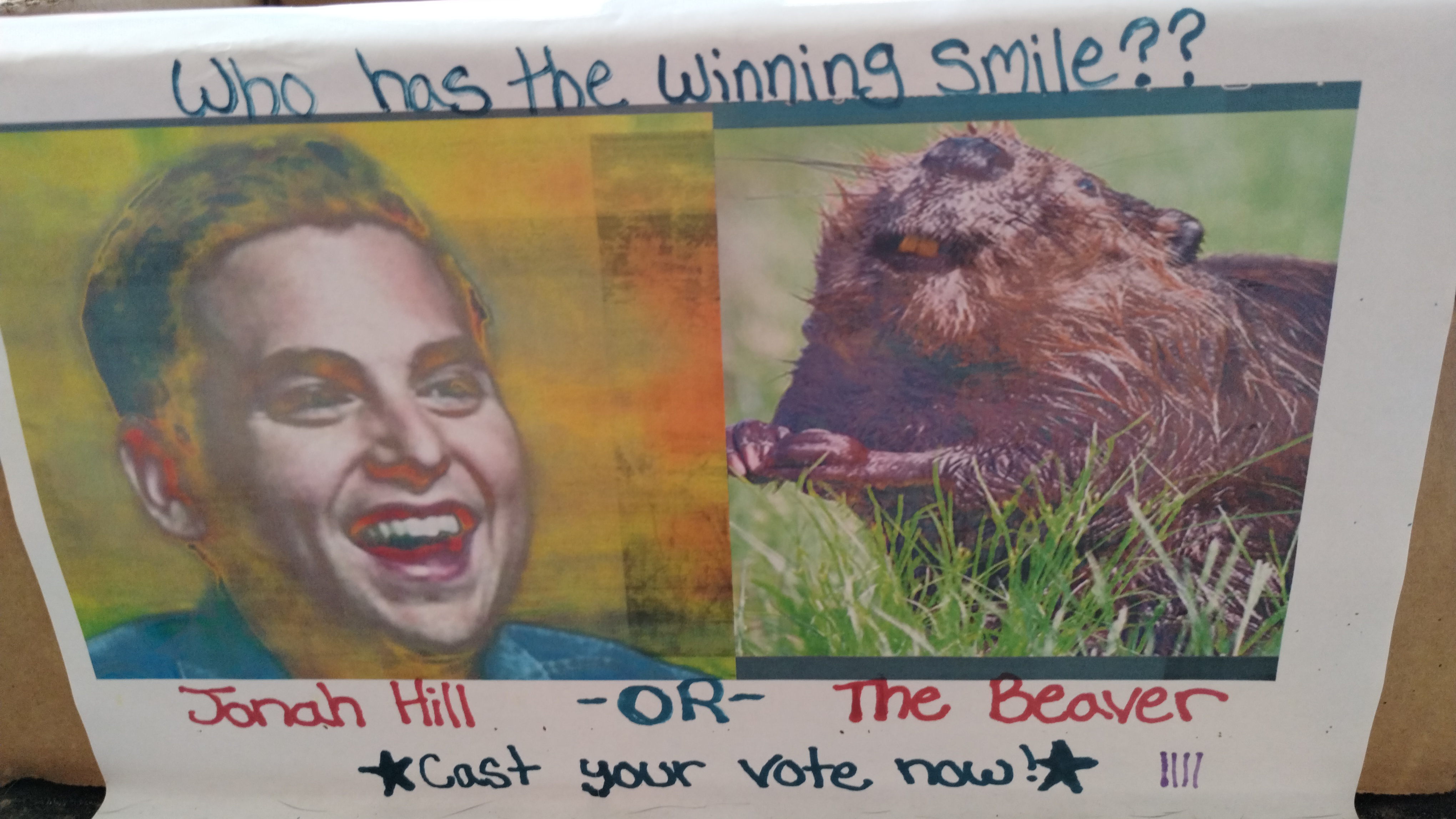 Let the Voting Begin!
