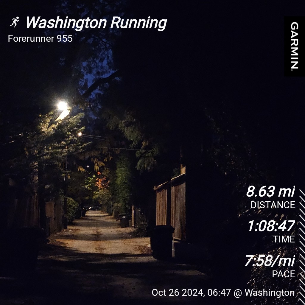 The Daily Adventure: Morning Run Chronicles