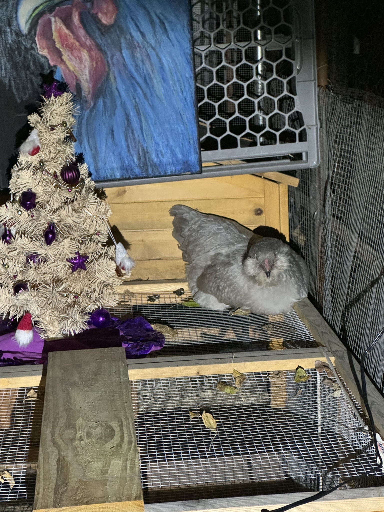 Cozying Up by the Christmas Tree