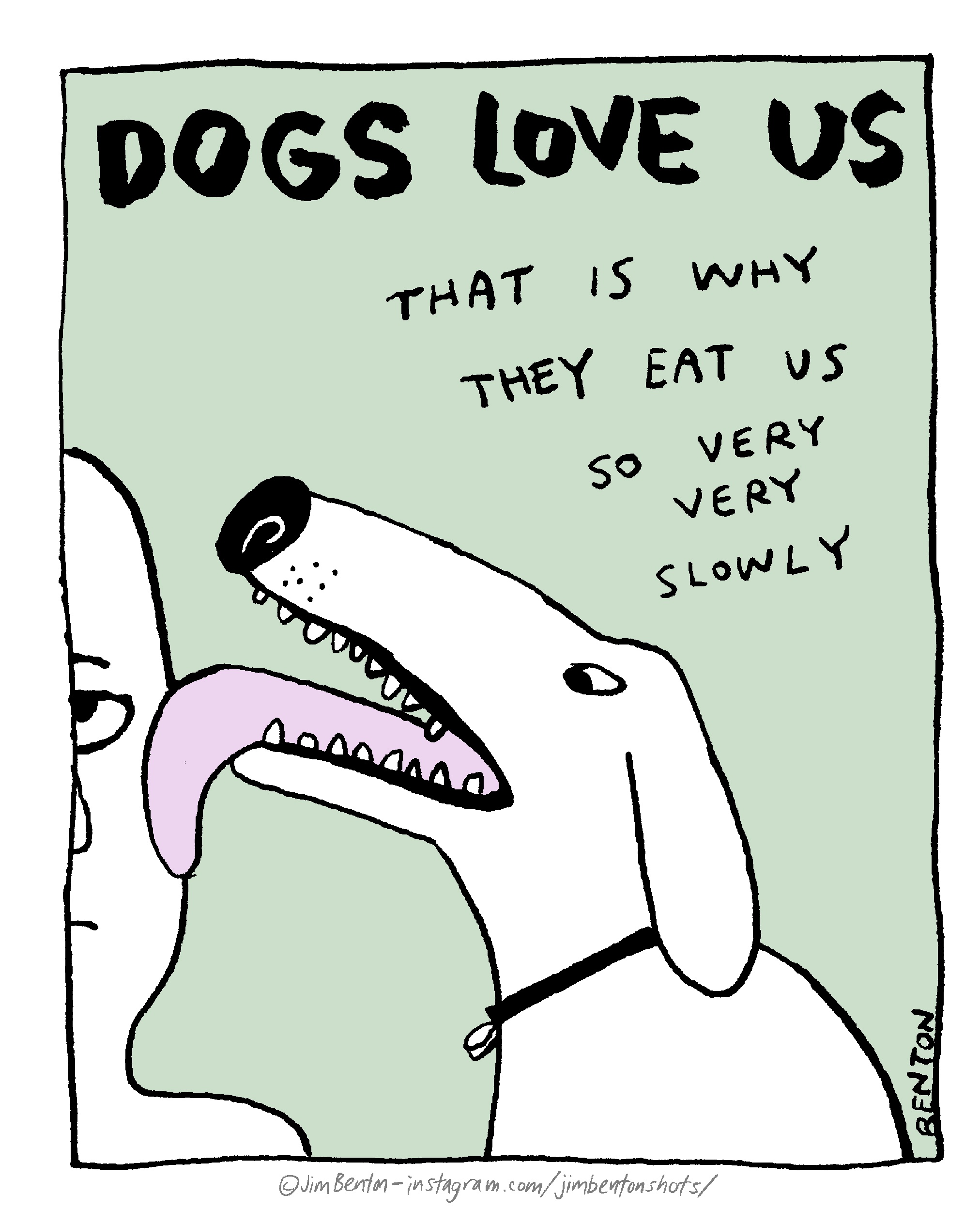 Adorable Canines: A Celebration of Dogs