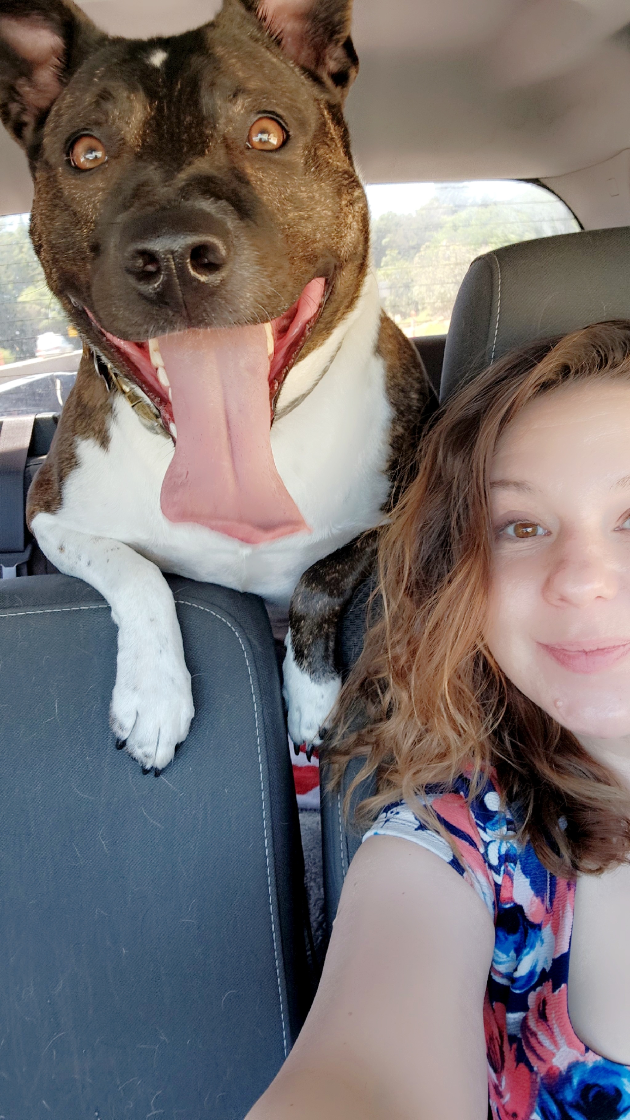 Her Expression When She First Sees the Beach