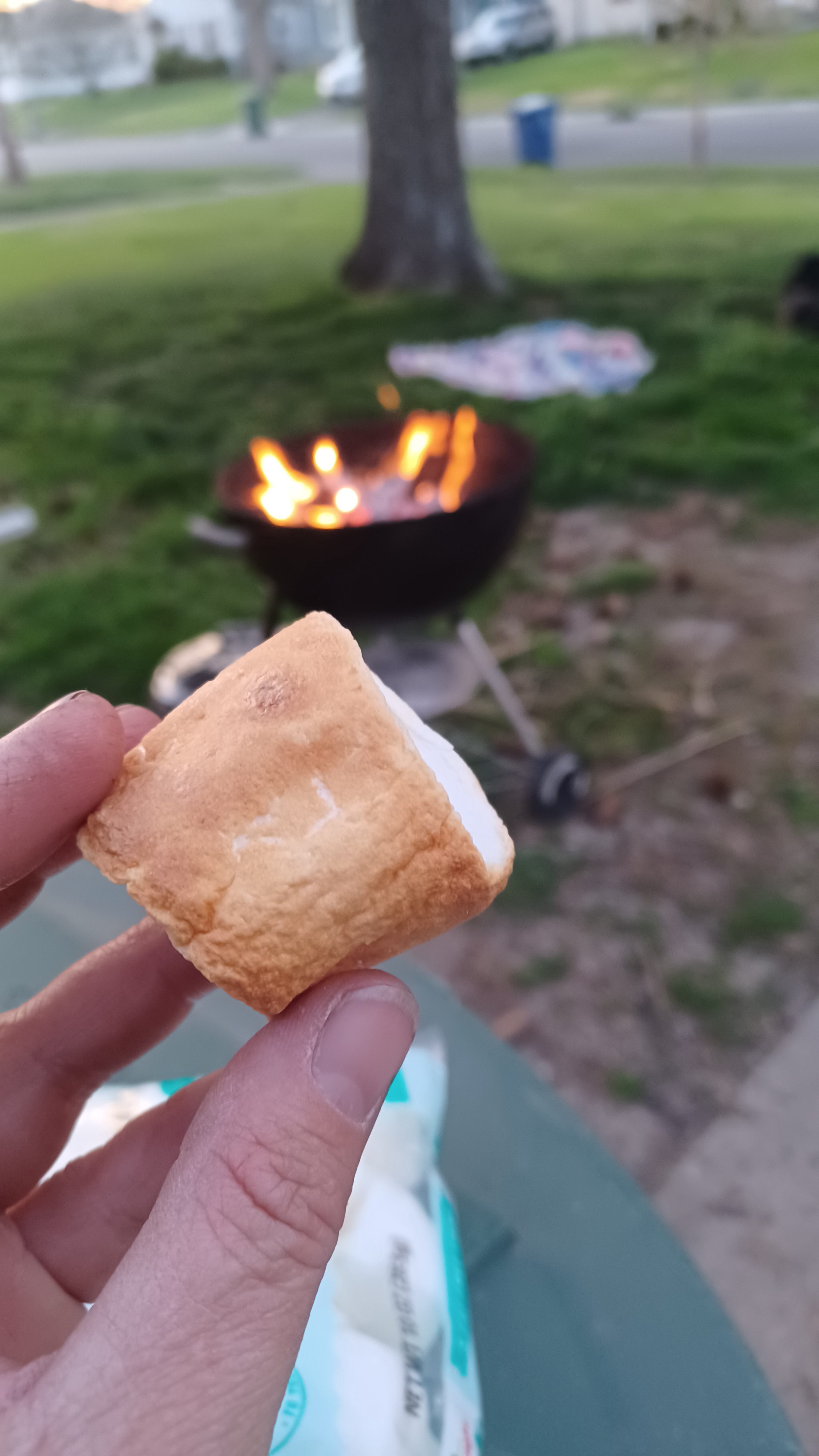 The Art of Toasting: My Perfect Marshmallow Creation