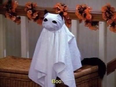 Surprise! It's Boo Time!