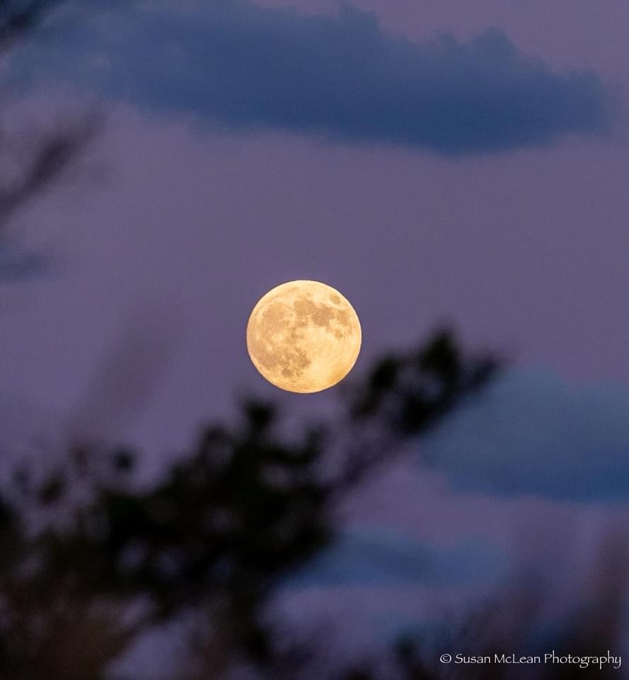 The Enigmatic Glow of the Full Moon