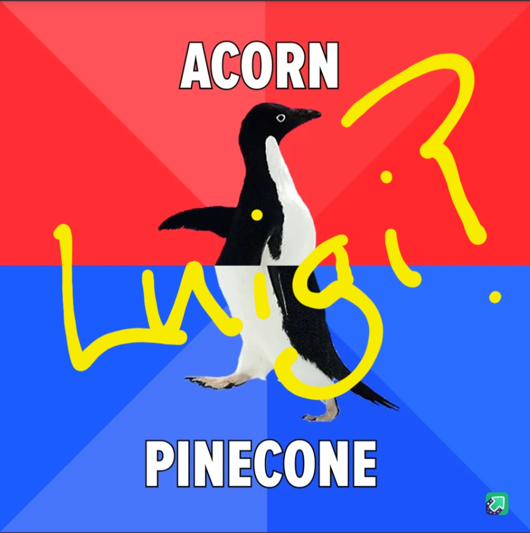 Team Acorn vs. Team Pinecone: The Epic Showdown Before Luigi Vanished