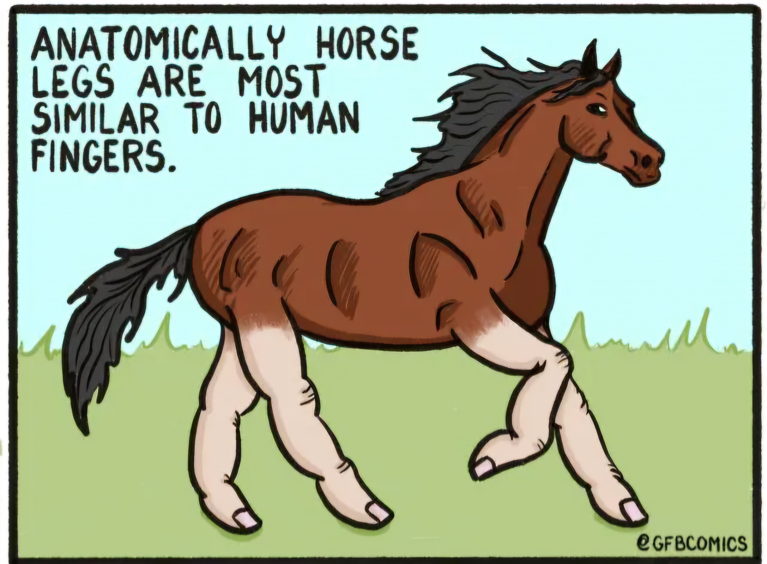 Absolutely Terrifying!