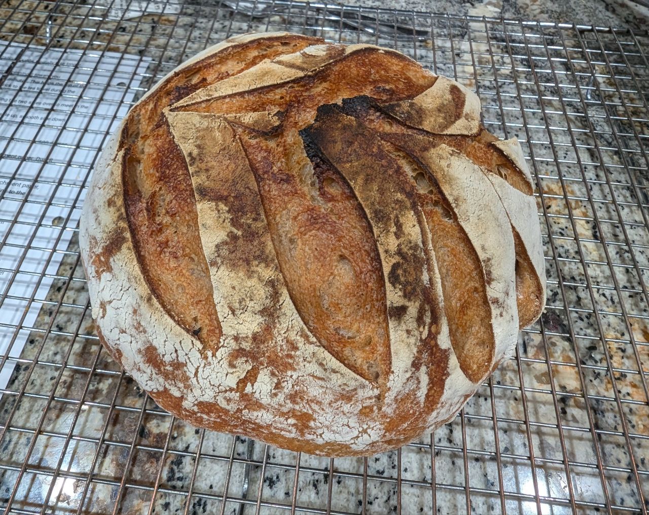 Baking Bread: My Favorite Culinary Adventure