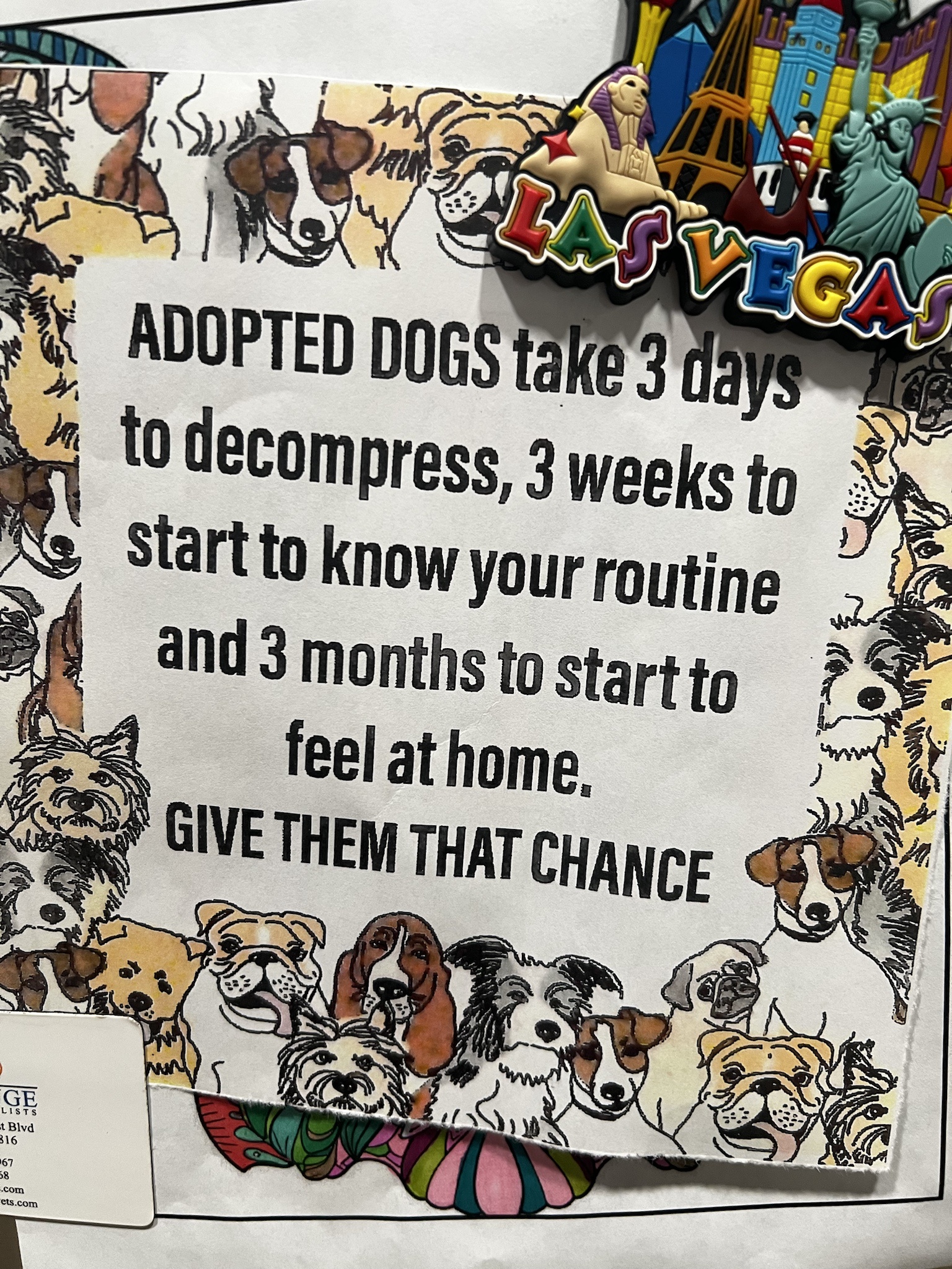 Let's Give Them a Fair Shot!