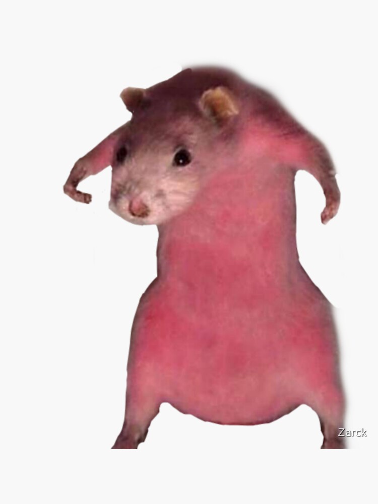 The Infamous Very Angry Ratatouille