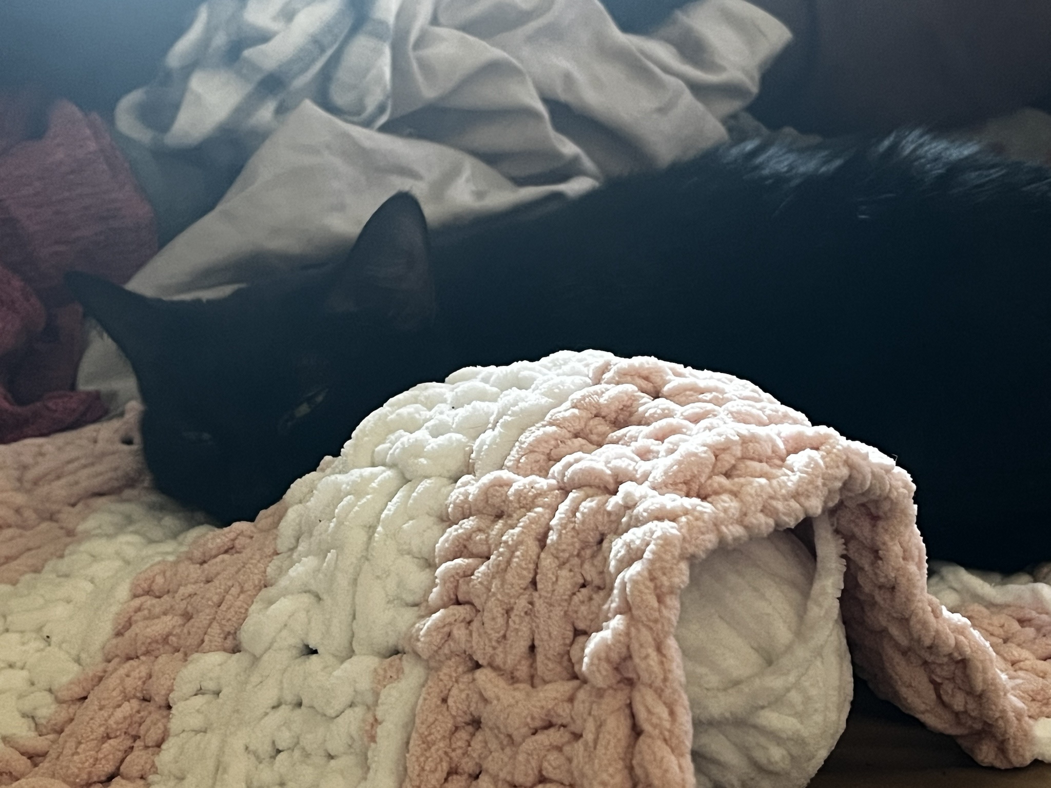 Tirpitz, you have your own custom cat blanket—let me finish that baby blanket, lol!