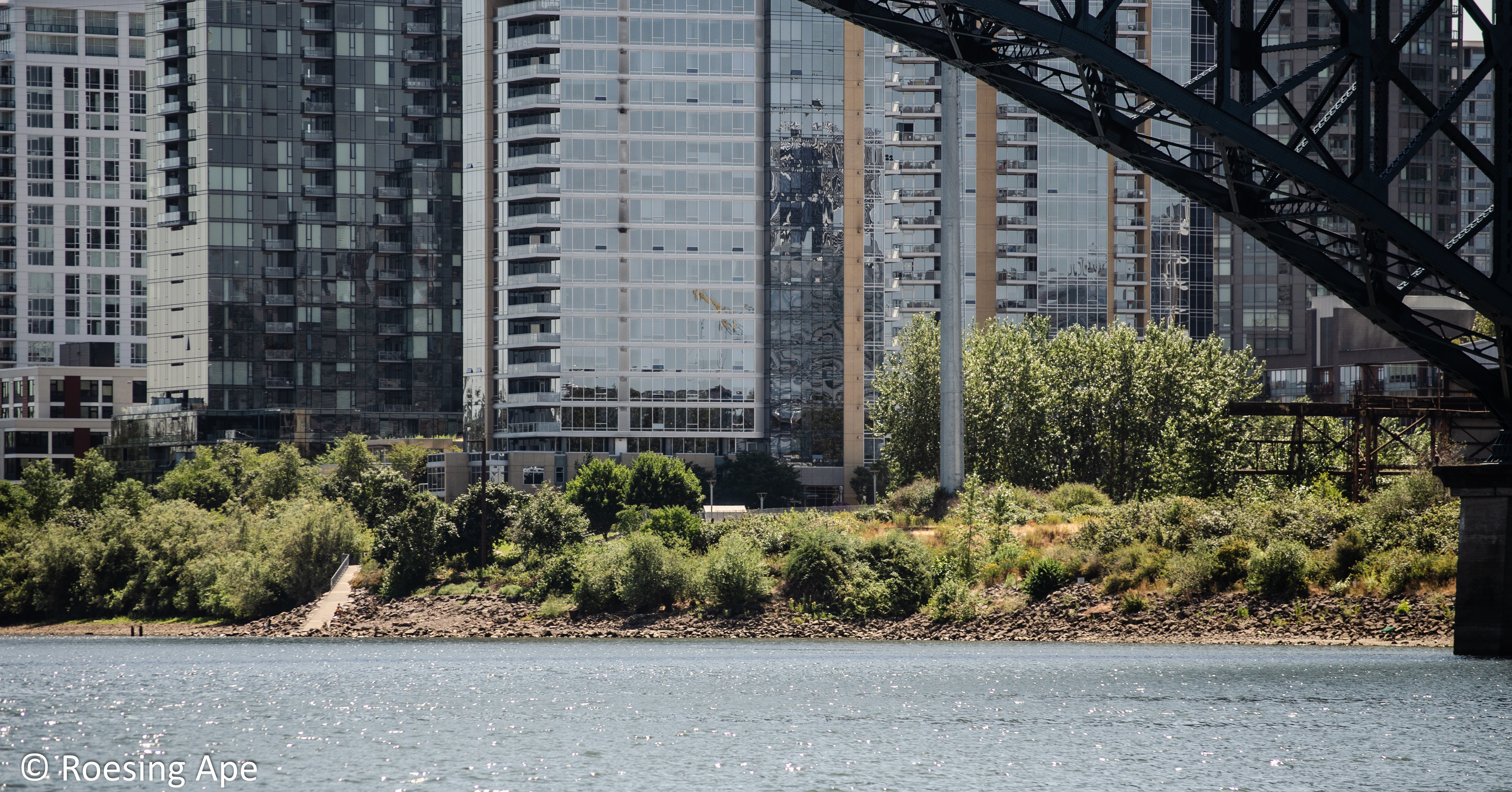 Stunning views from the Cascadia Riverboat in 2024.