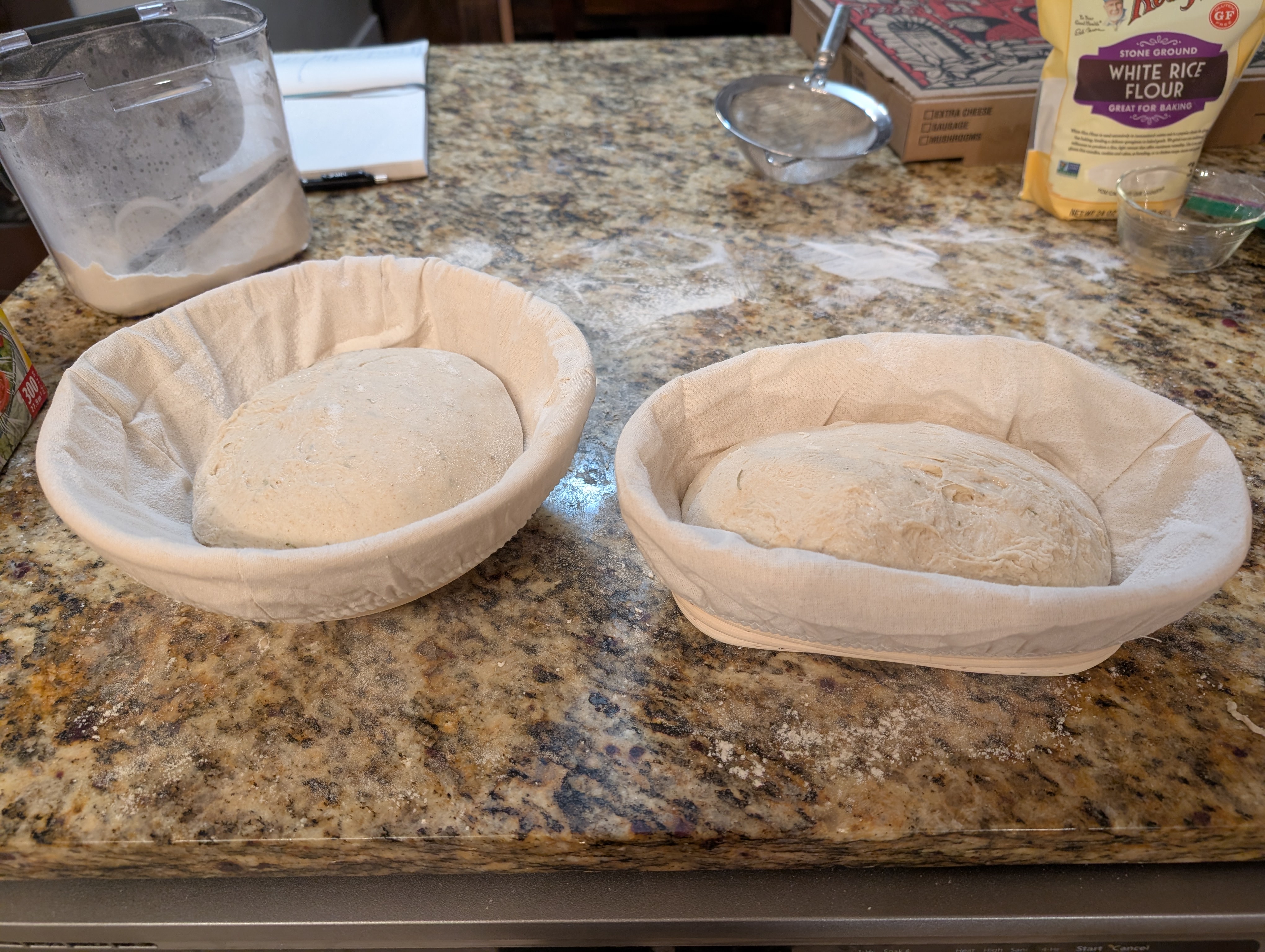 Sourdough Adventure #2