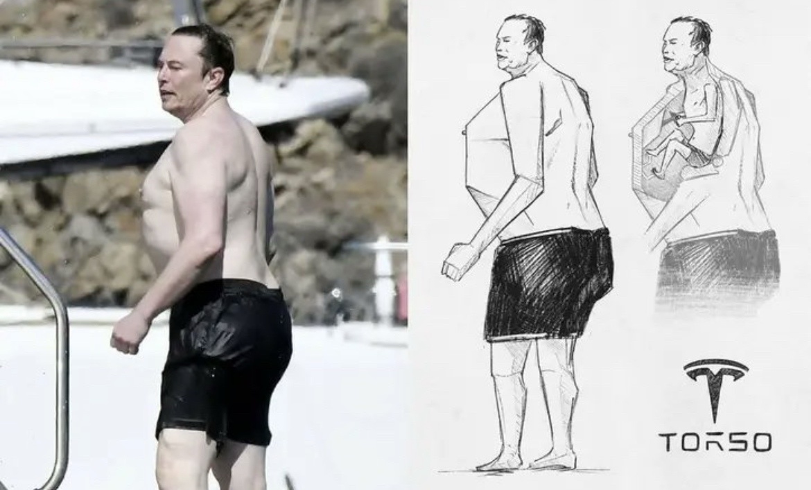 The Torso: A Fascinating Focus