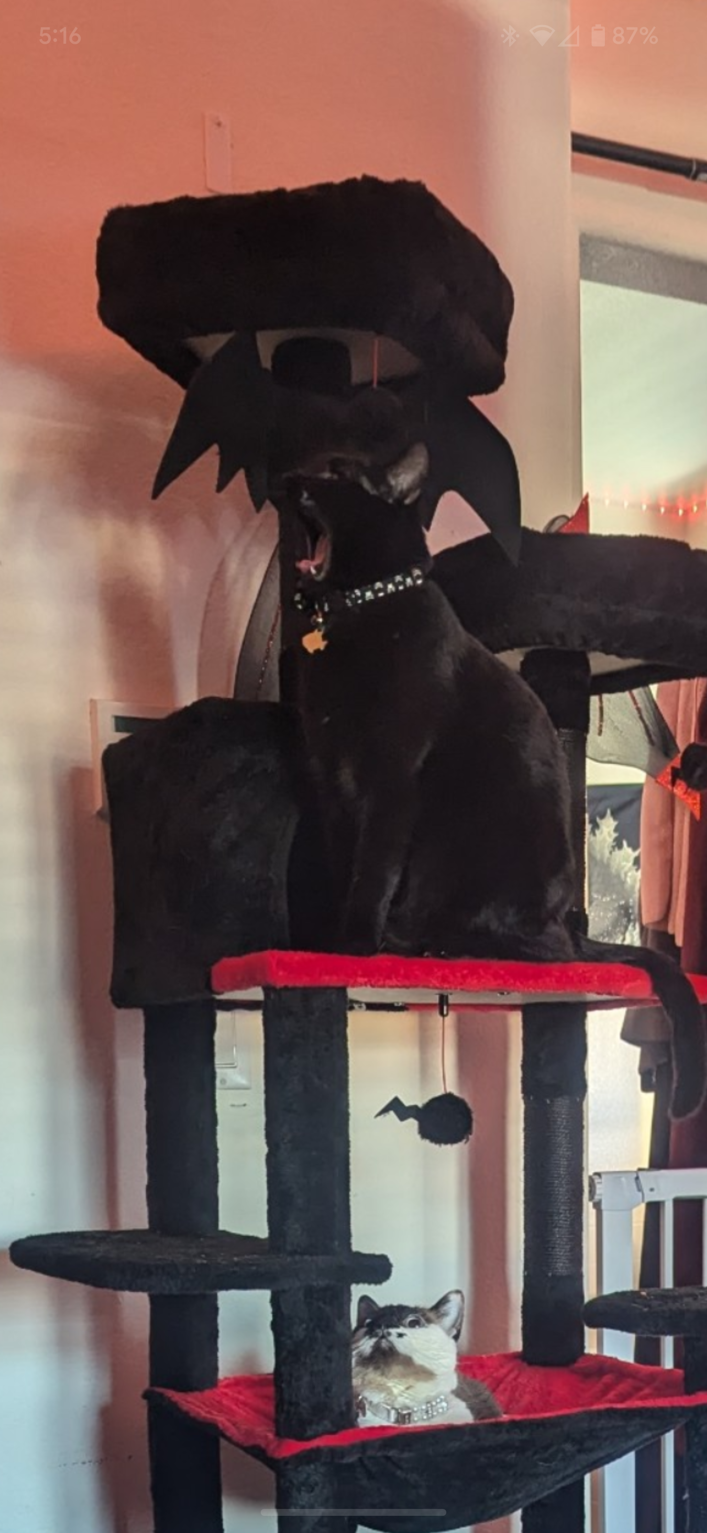 Atticus: Screaming into the Void of Existence