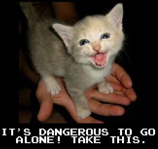 It's risky to venture out alone, especially with a kitten!