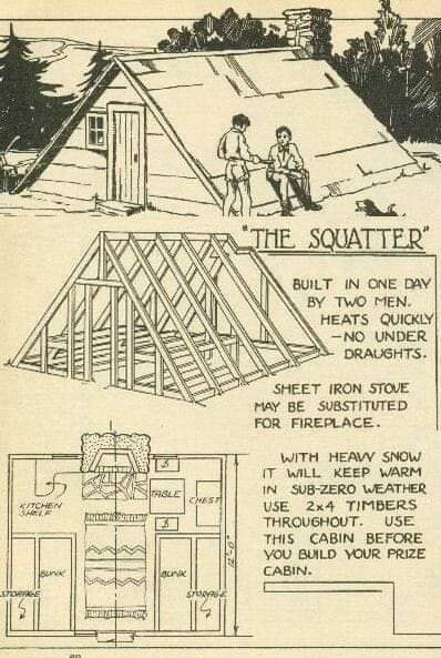 The Squatter Chronicles: A Hilarious Tale