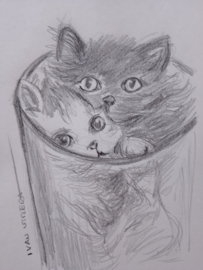 The Fascinating World of Cats