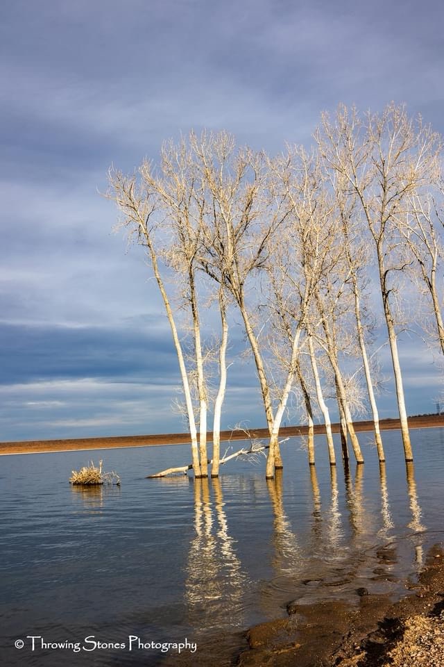 More Stunning Reflections to Admire