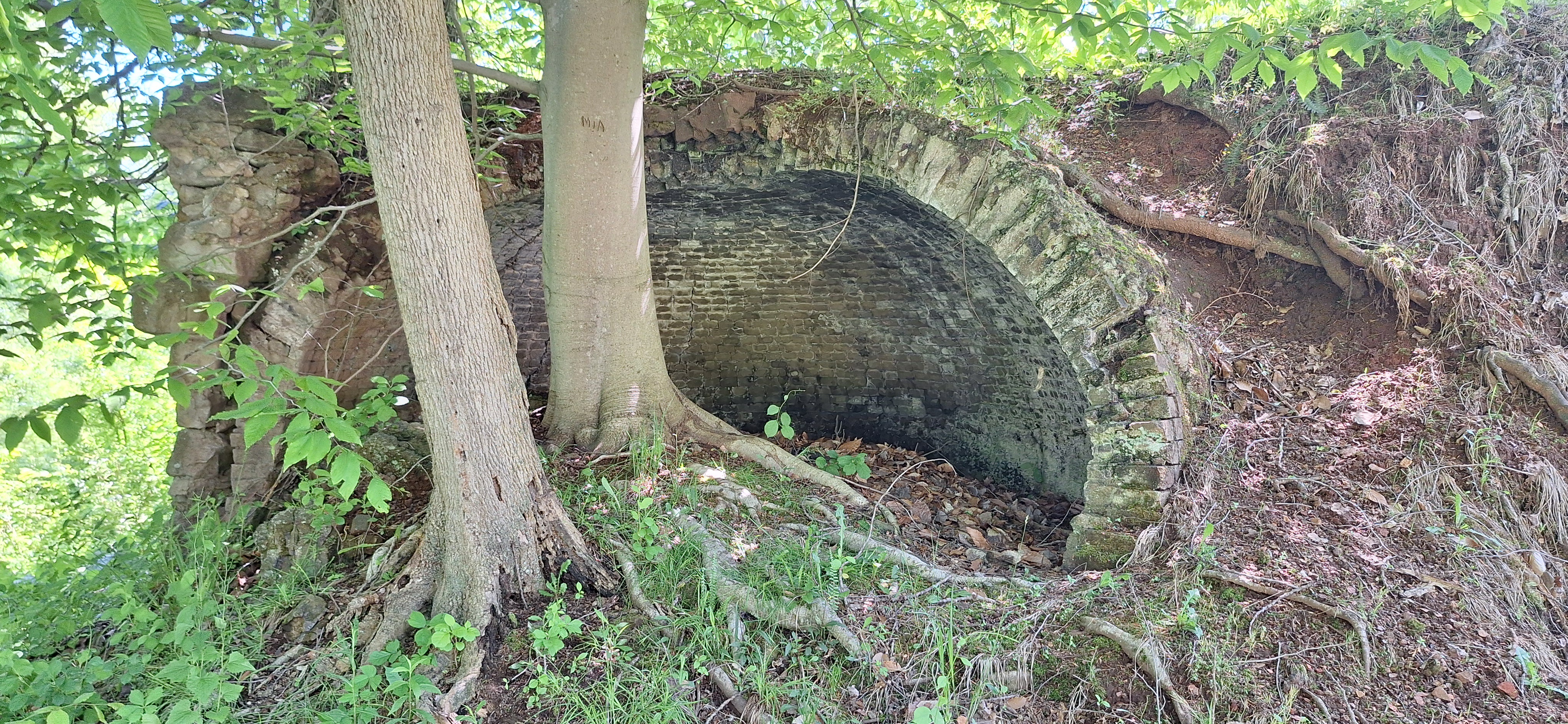 Exploring the Historic Cherry Valley Coke Ovens