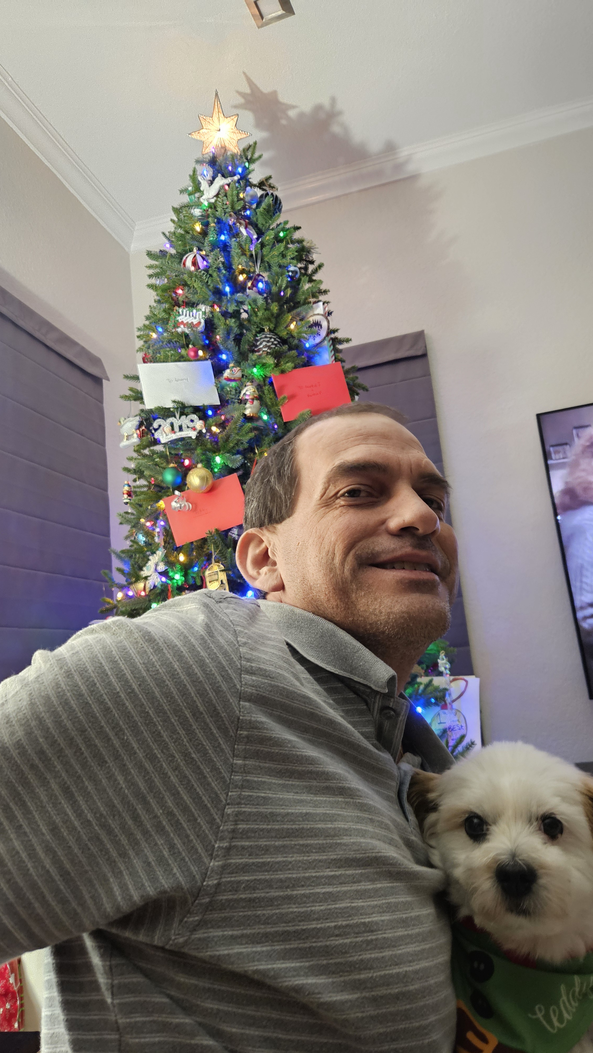 Merry Christmas from the Cayman Islands with a Sneaky Dog Surprise!