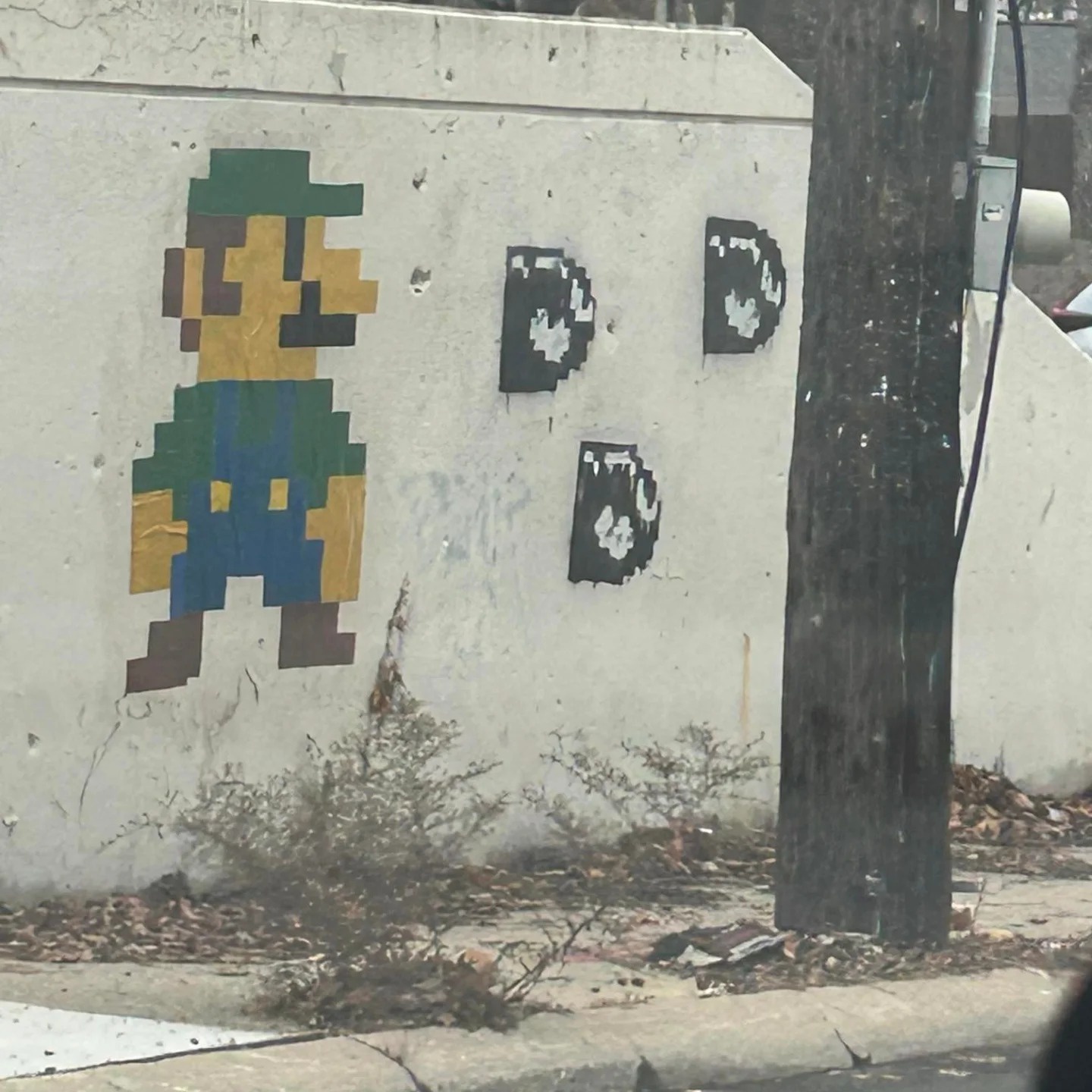 Spotted in Columbus, OH: A Curious Sight