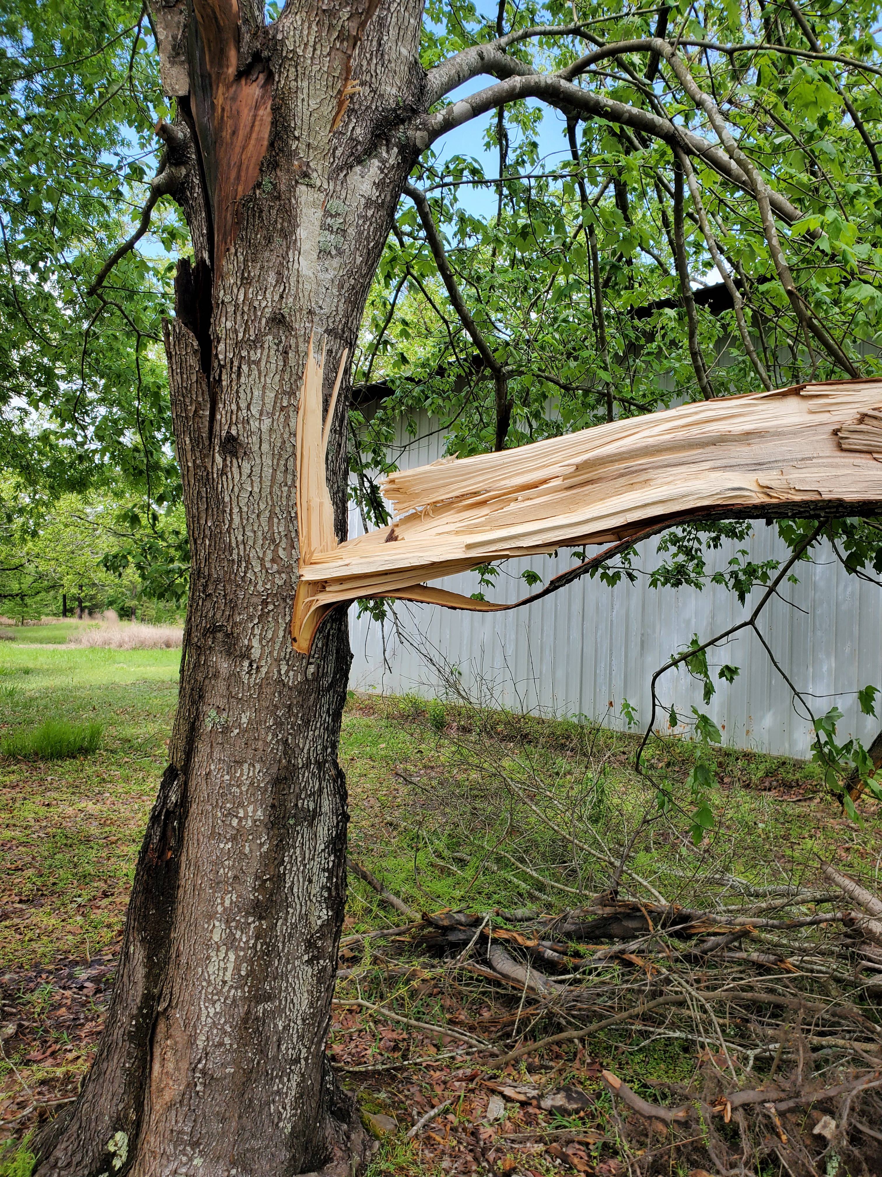 When a Tree Takes Down the Metal Shop