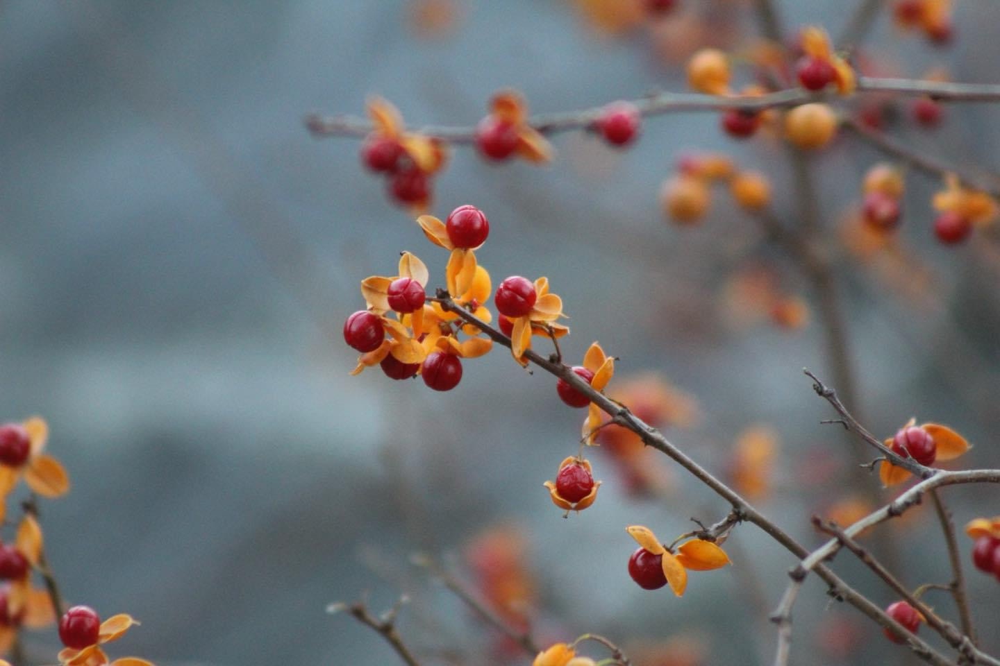 Embracing the Beauty of Autumn