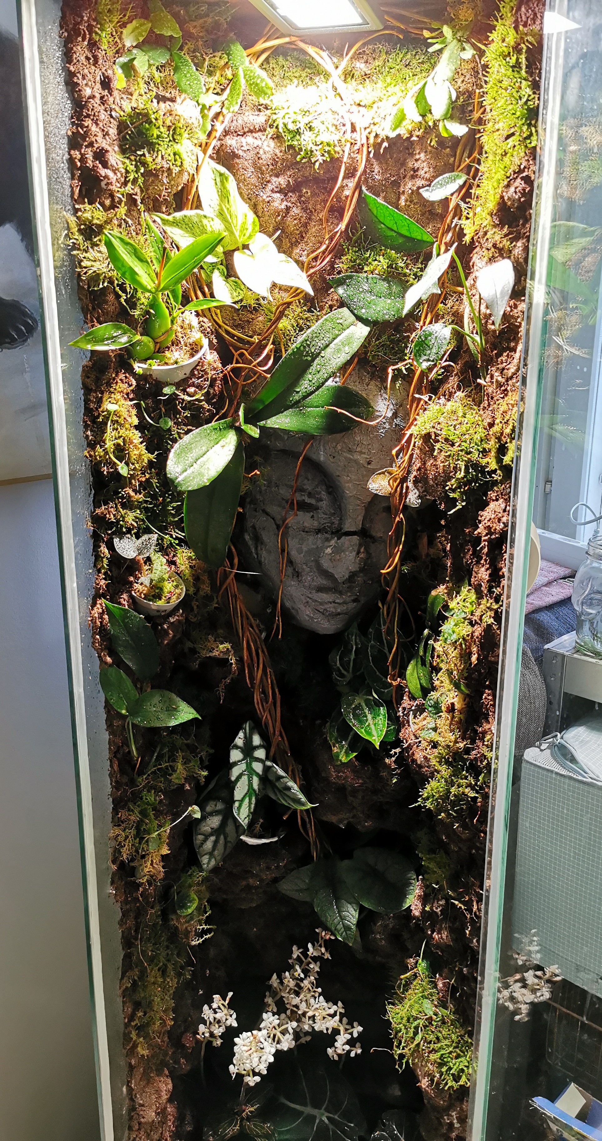 Stylish Ikea Terrarium: A Miniature Jungle