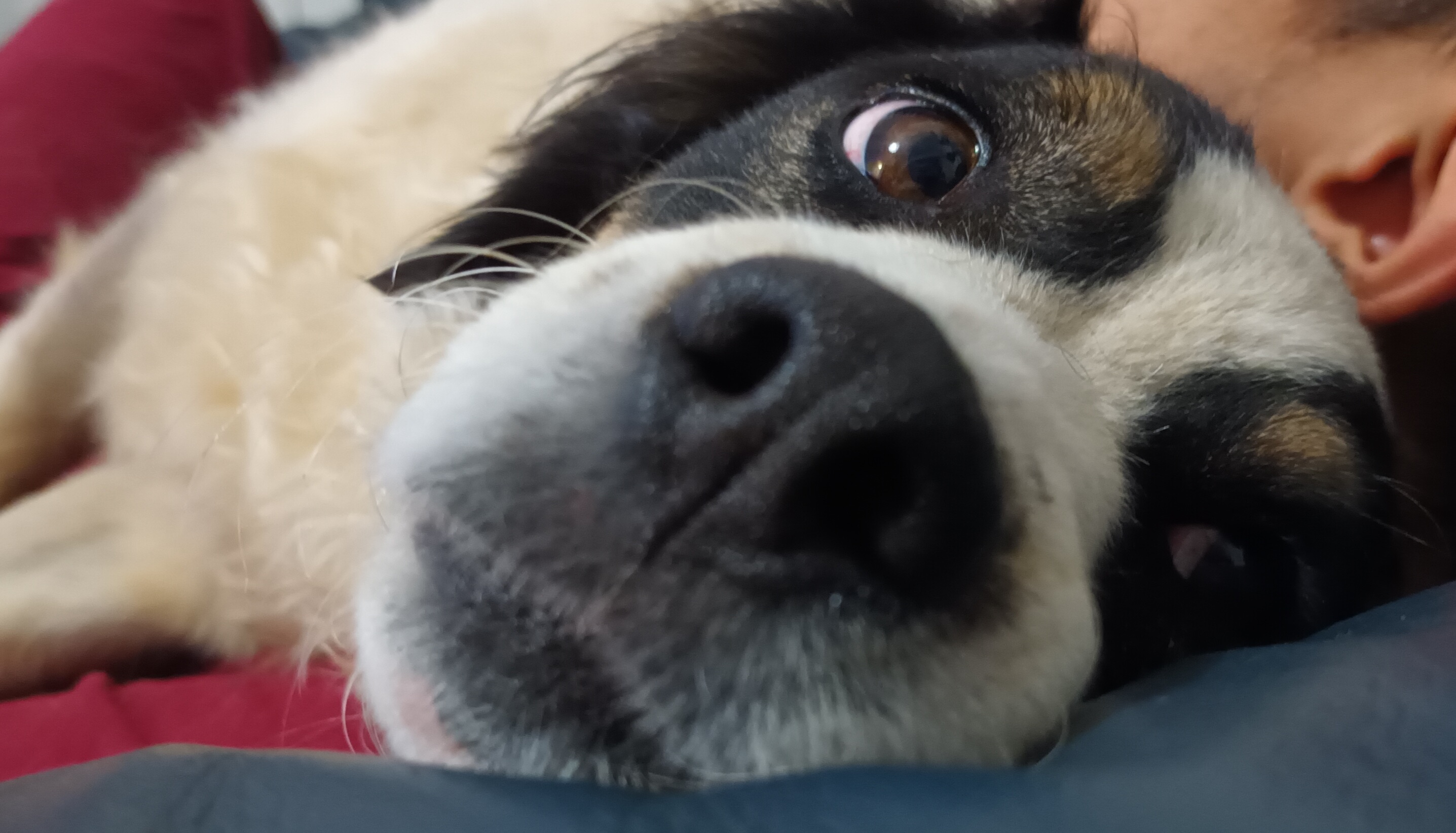 That moment when something delicious wafts by.