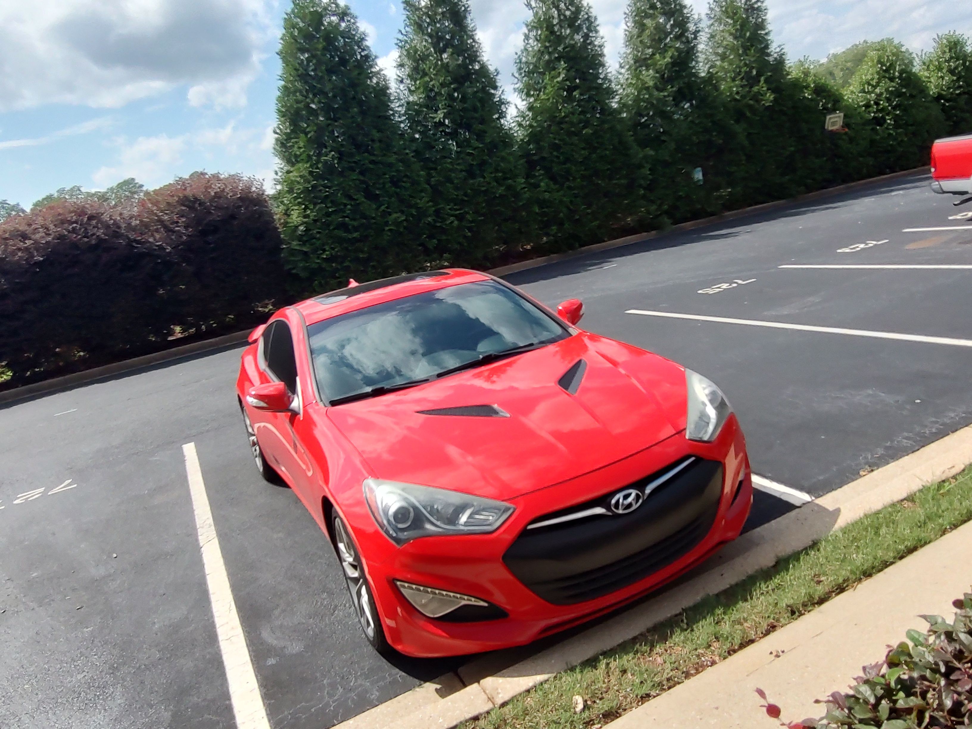 Meet Little Red Genny: A Charming Companion