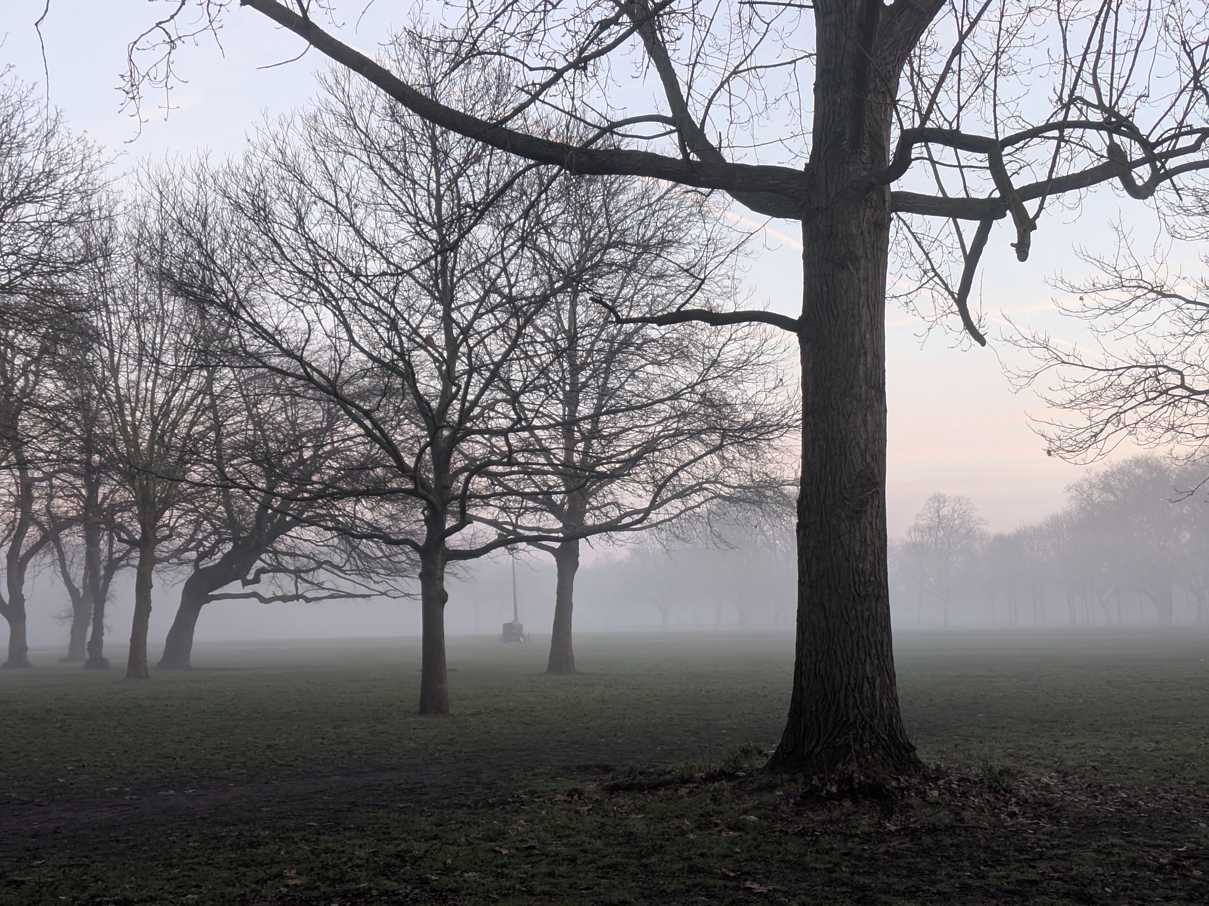 Victoria Park's Dramatic Beauty on a Cold January Morning