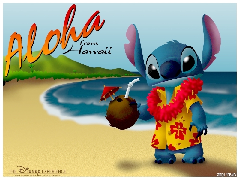 A Warm Aloha from Beautiful Hawaii!