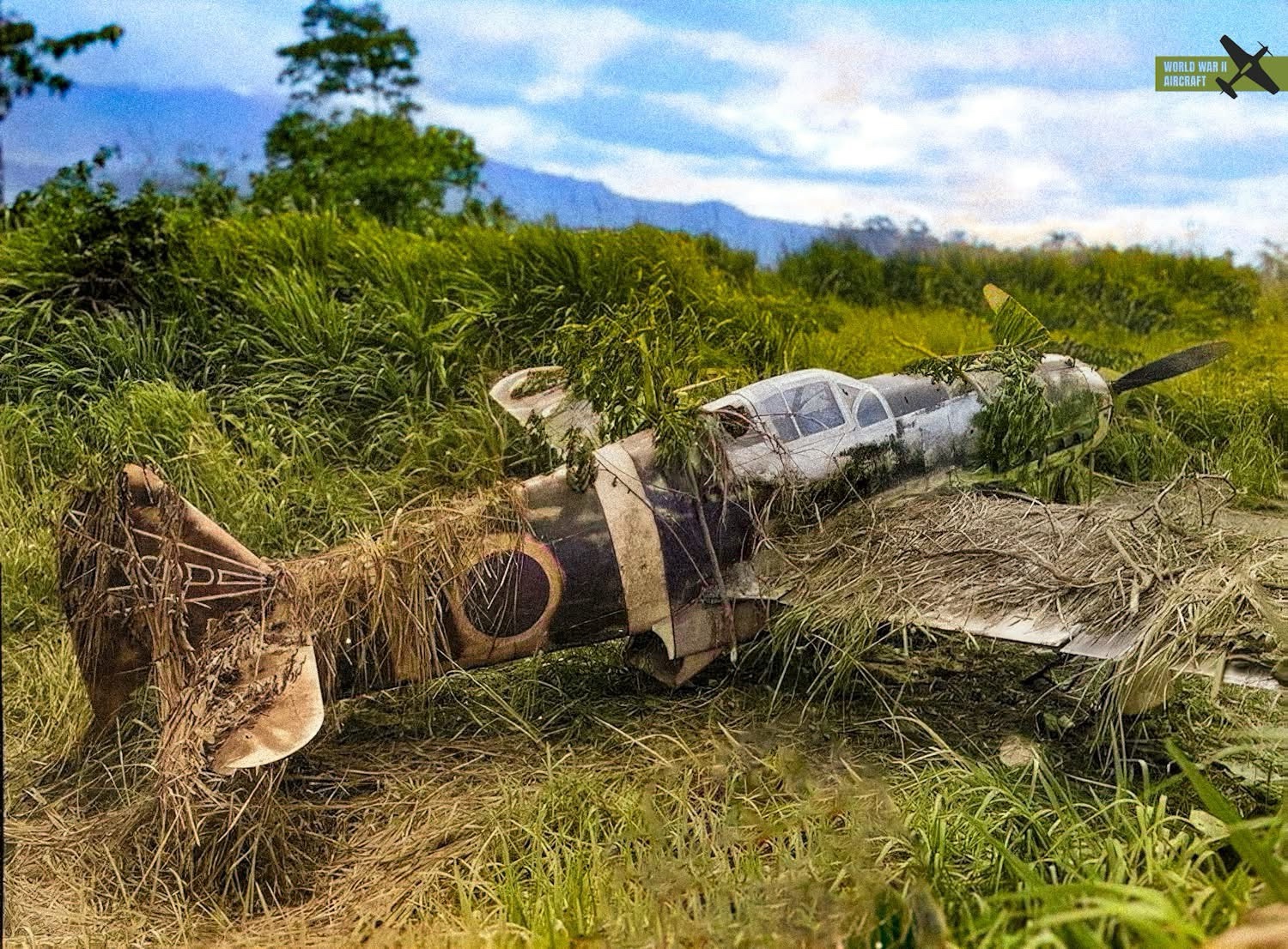 A Forgotten Kawasaki Ki-61 Hien: A Glimpse into New Guinea, 1944