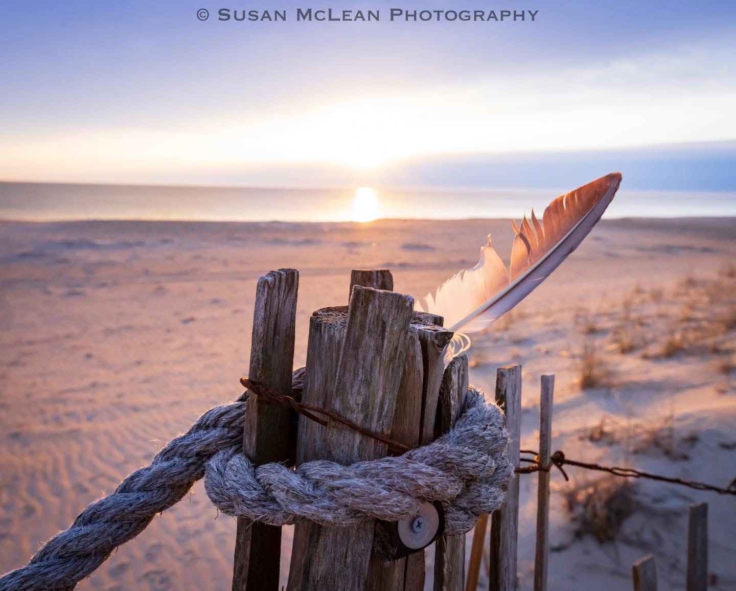 A Beautiful Morning: Capturing the Magic of Sunrise