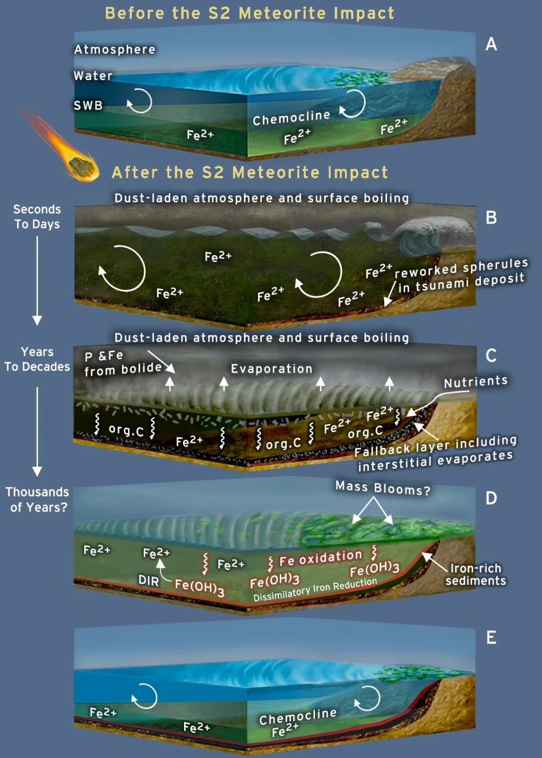 The asteroid impact: Nature's ultimate fertilizer bomb