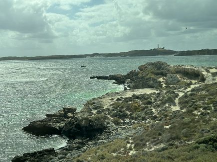 Discover the Beauty of Rottnest Island in Western Australia