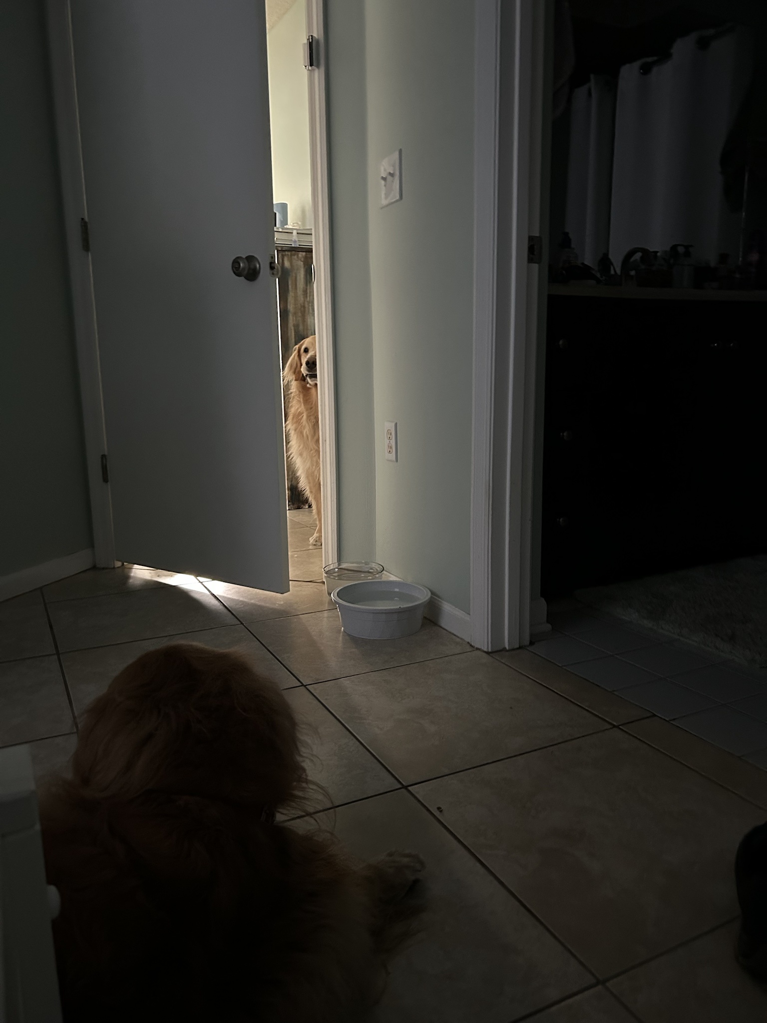 Captivating Zoom In Photo Stories