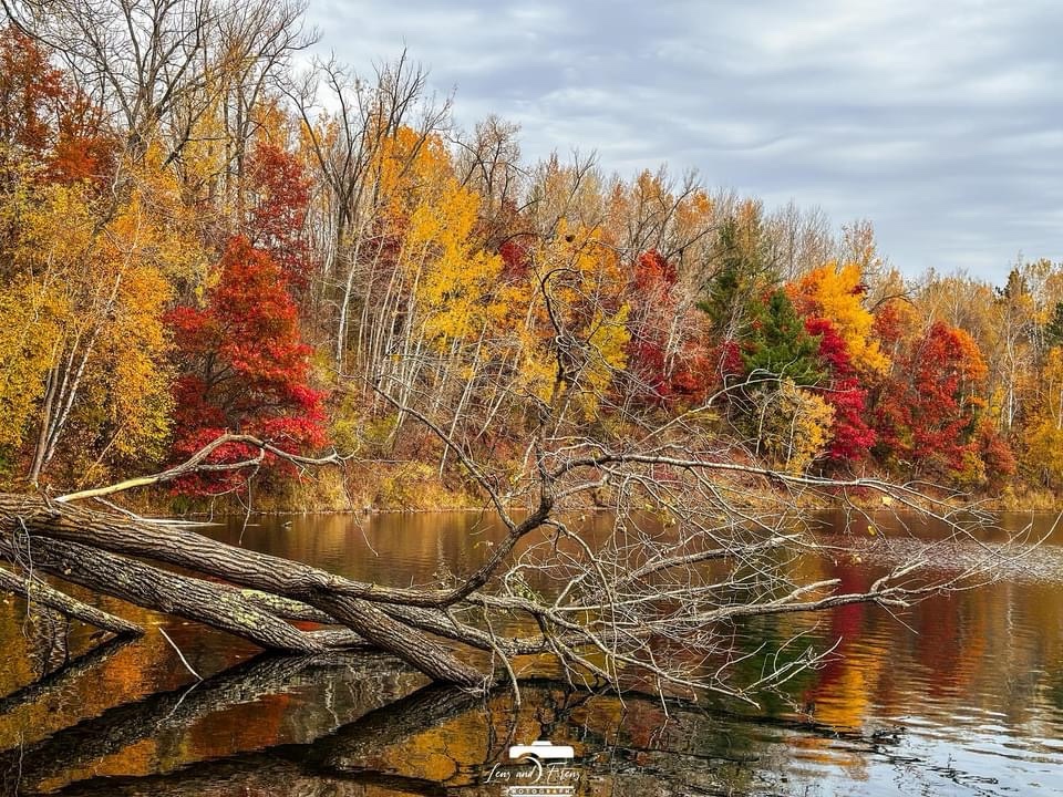 Embracing the Season: The Splendor of Autumn