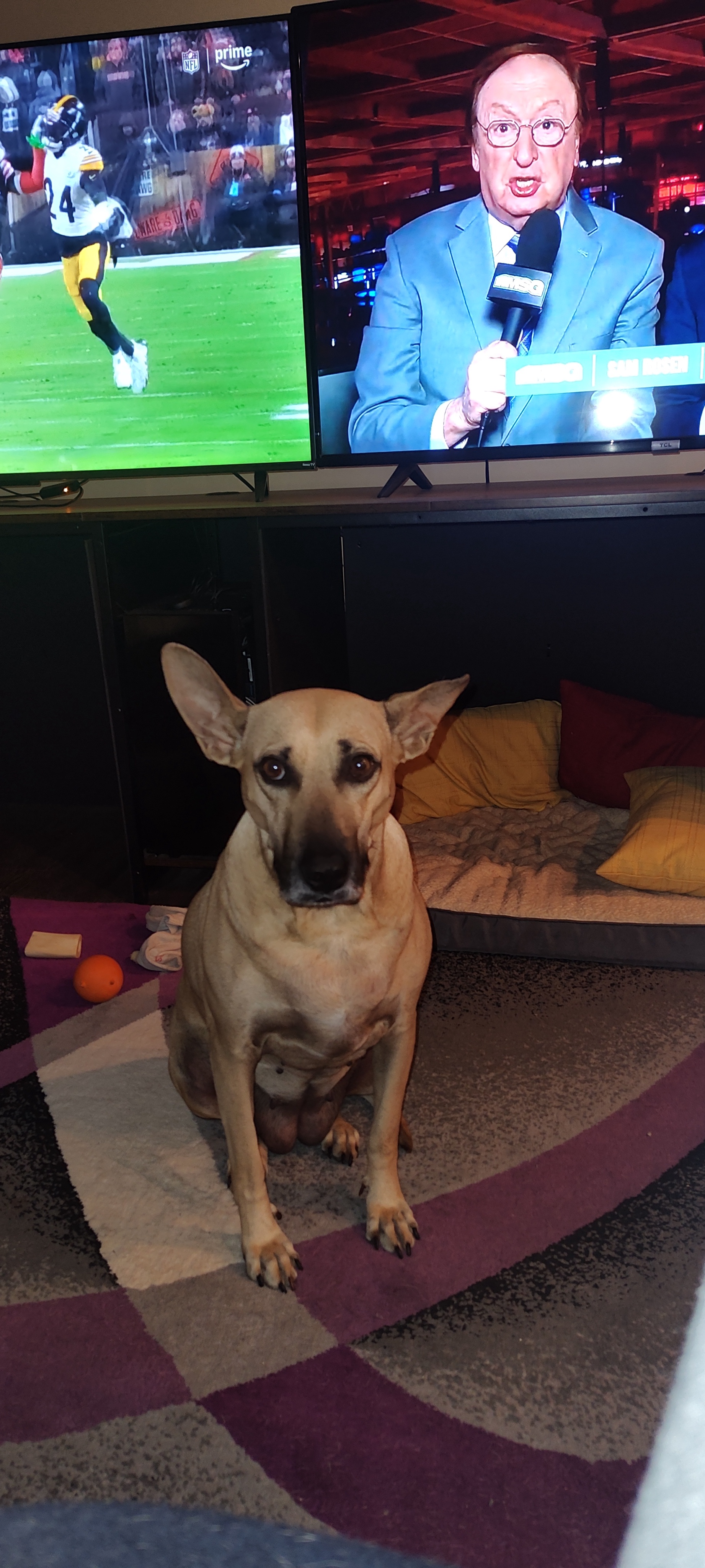 Maggie's Ears Speak Volumes