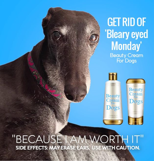 A special message from our generous sponsor