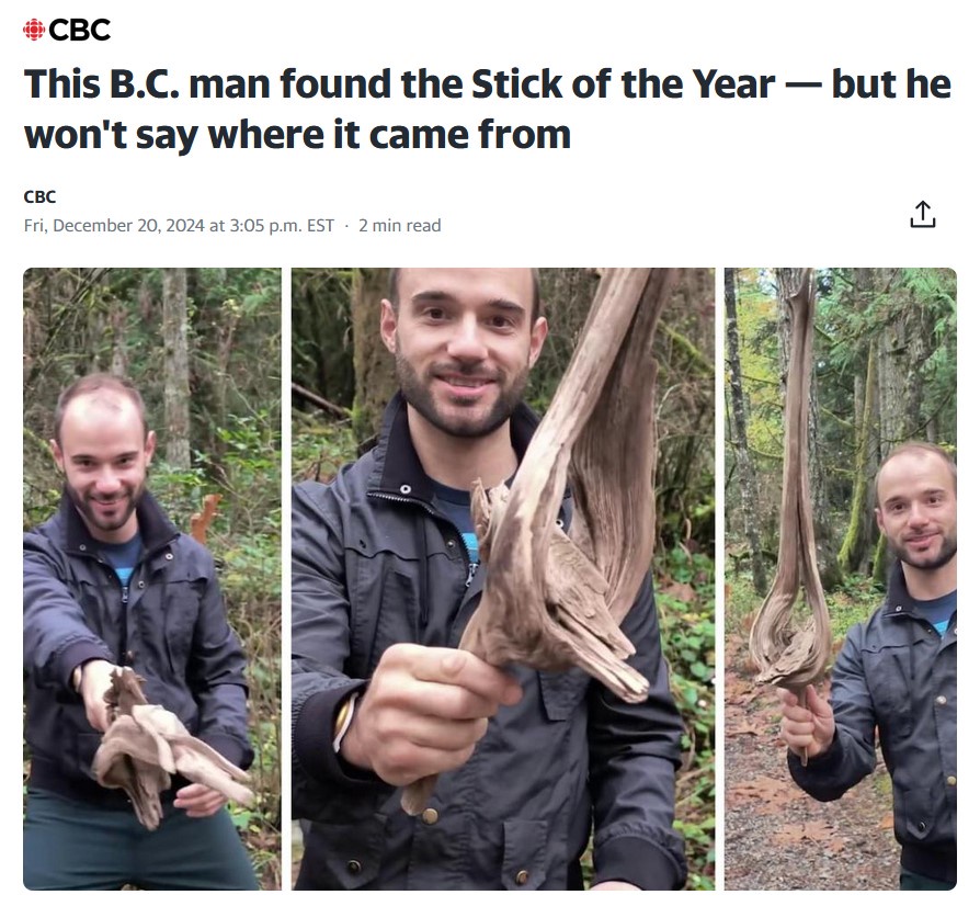 The Ultimate Stick of the Year: A Celebration of Excellence