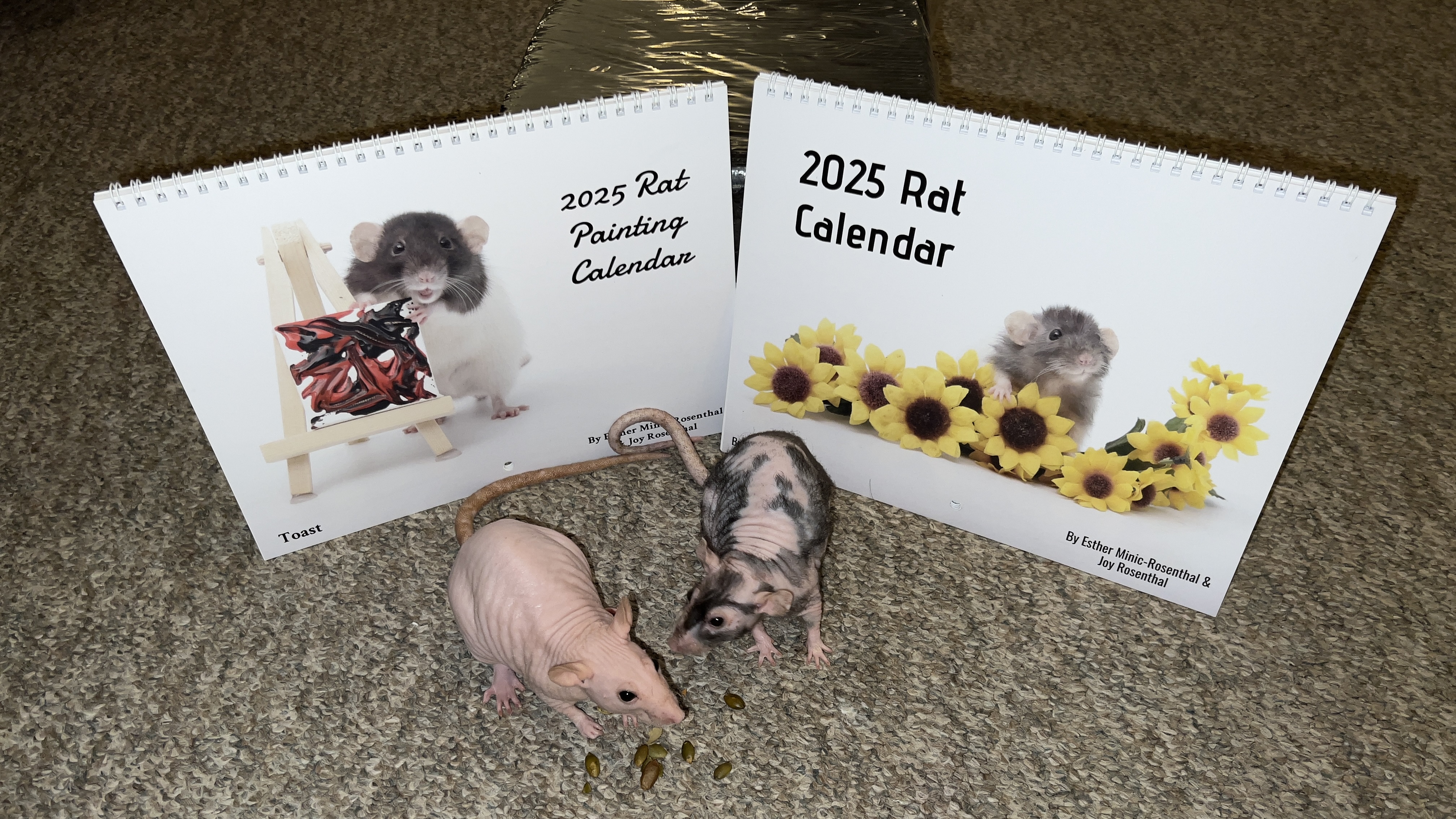 Get Ready for 2025 with Adorable Pet Rat Calendars!