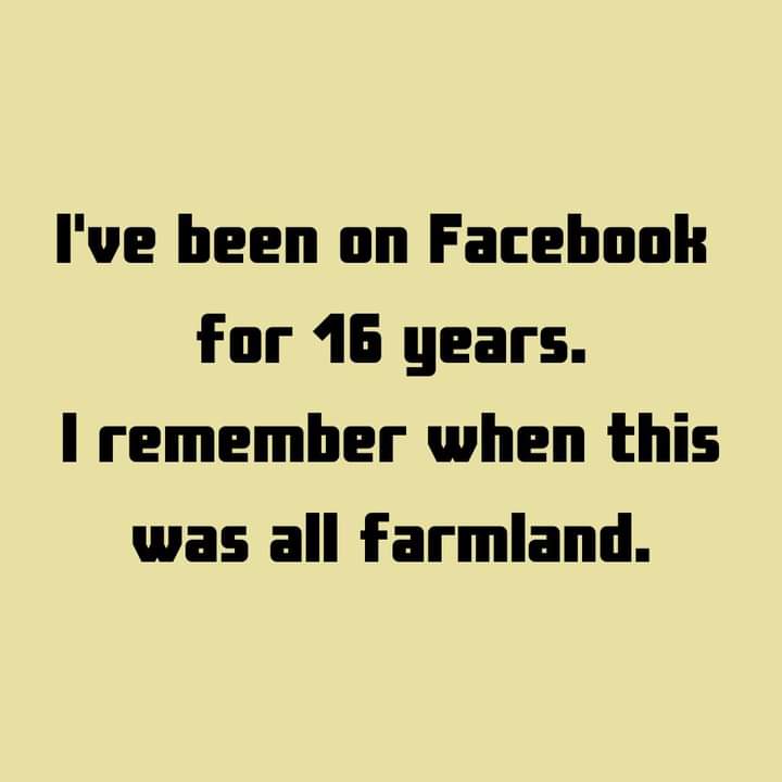 Reflecting on Simpler Times