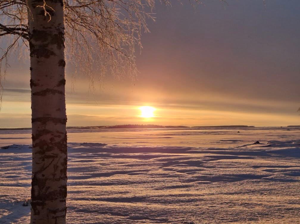 Welcome to Vintersol: A Winter Wonderland