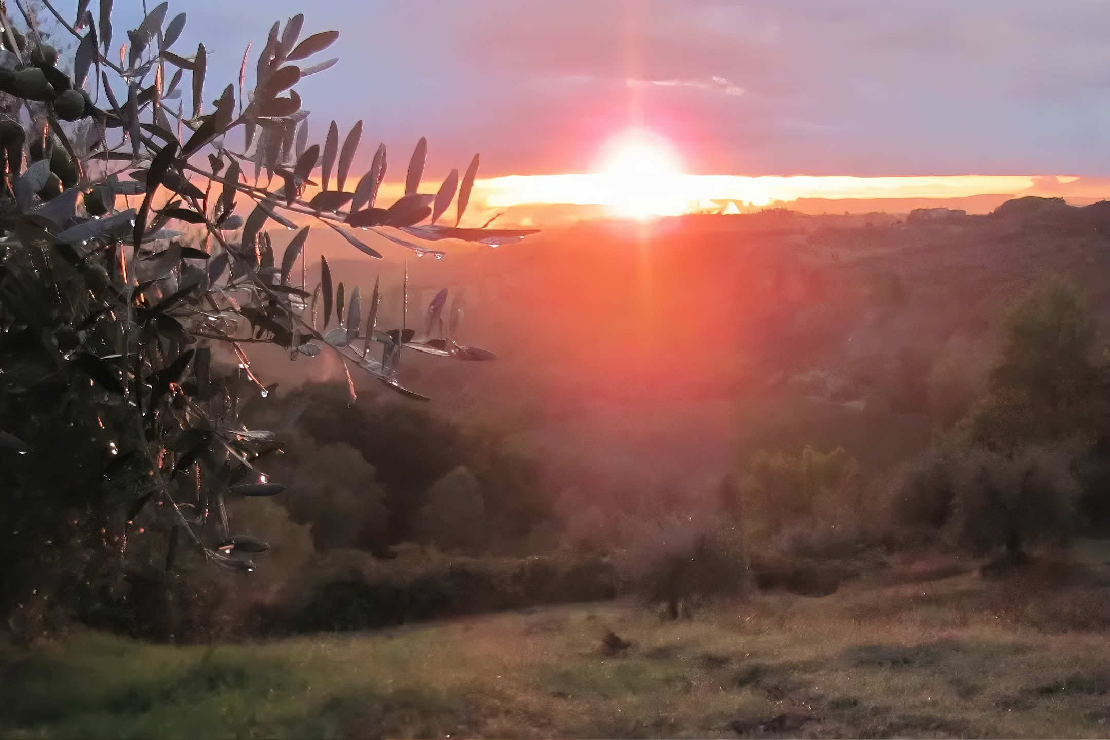 What Could Be More Beautiful Than Nature Bathed in Morning Light?