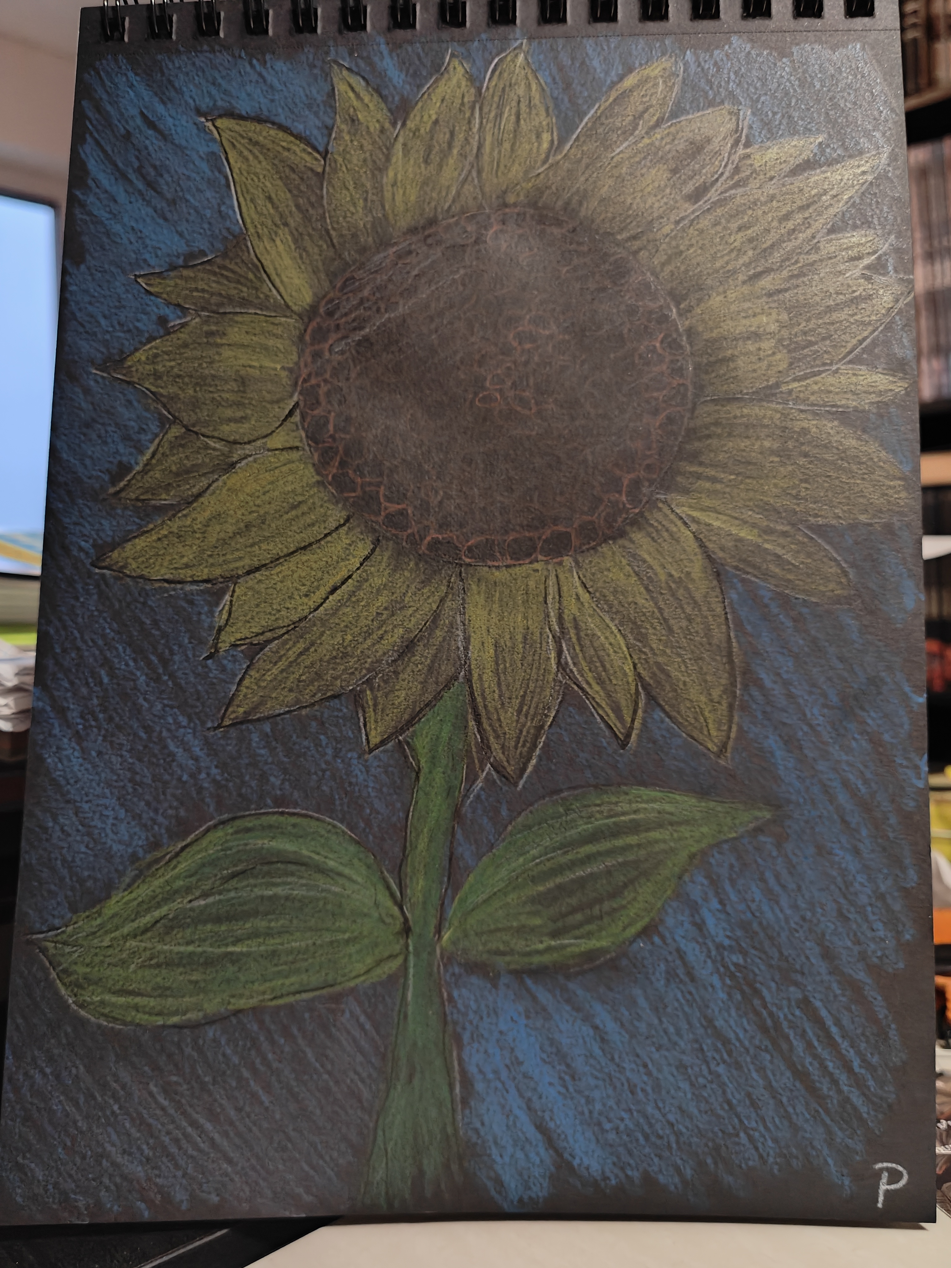 The Beauty of Sunflowers