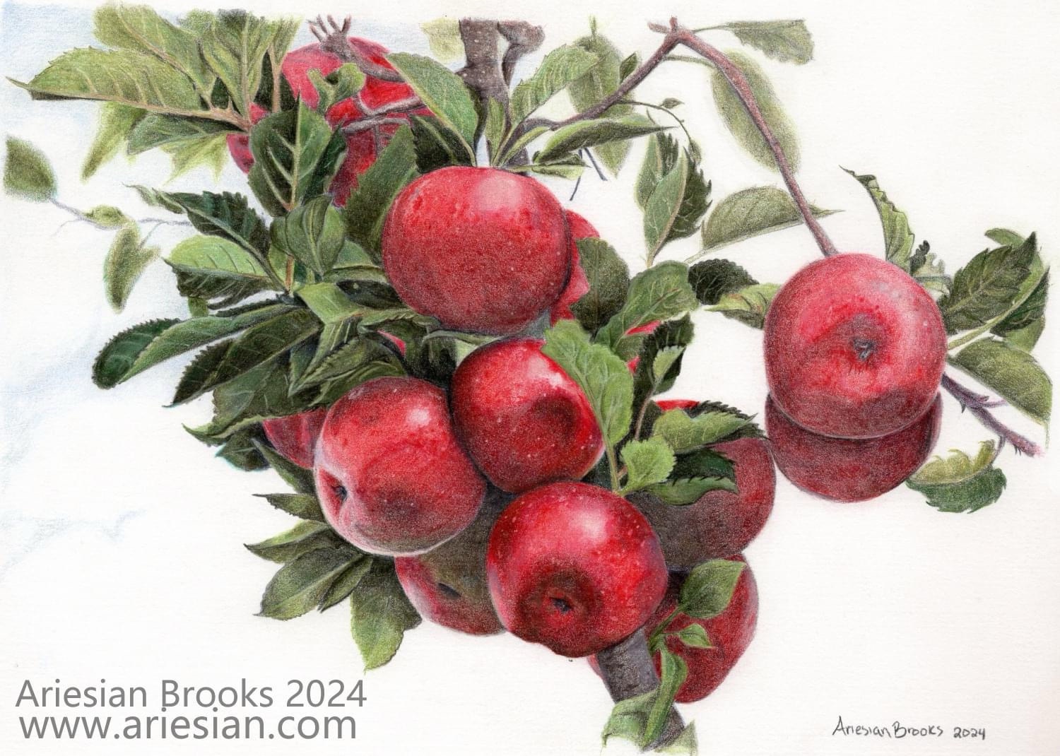 The Simple Charm of Apples