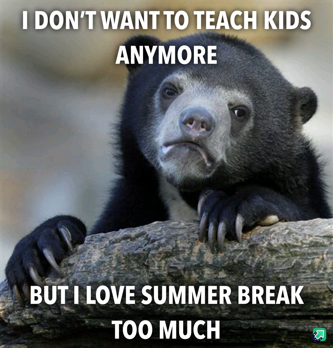 Counting Down: Just Three Weeks Until Winter Break!