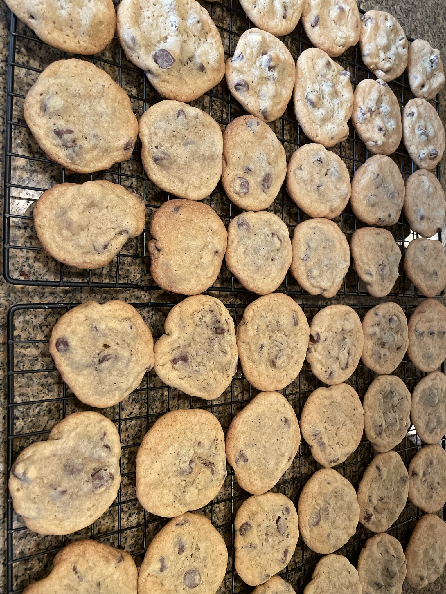 Baked Cookies for Poll Workers - Remember to Vote!