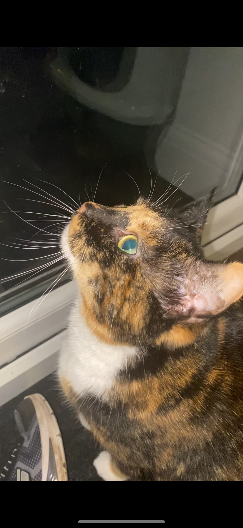 Crumble’s daily snapshot: A moment captured